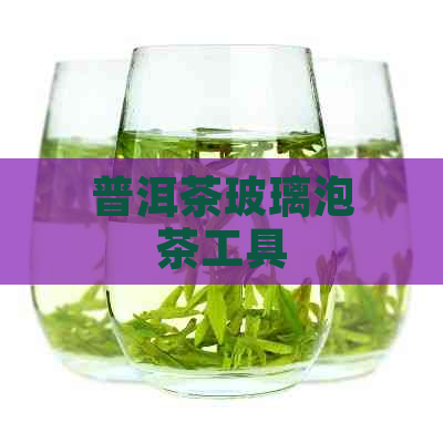 普洱茶玻璃泡茶工具