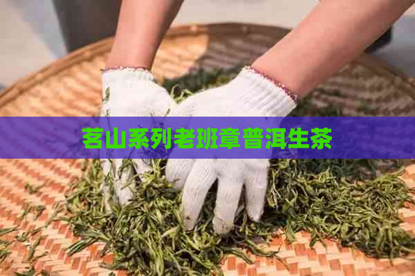 茗山系列老班章普洱生茶