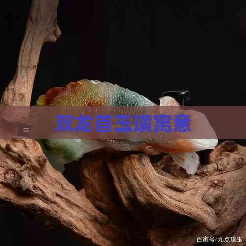 双龙首玉璜寓意