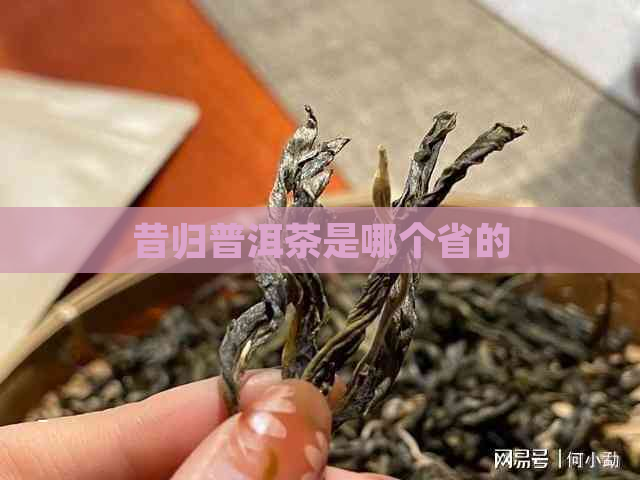 昔归普洱茶是哪个省的