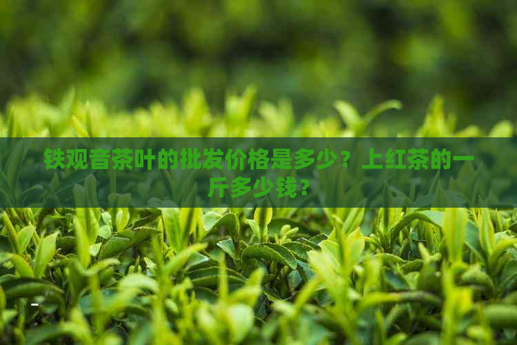 铁观音茶叶的批发价格是多少？上红茶的一斤多少钱？