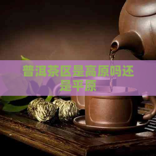 普洱茶区是高原吗还是平原