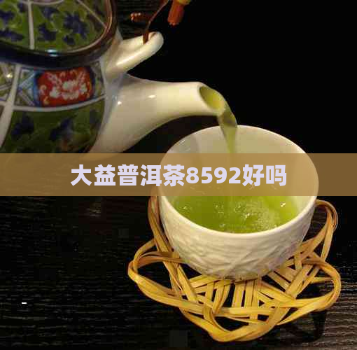 大益普洱茶8592好吗