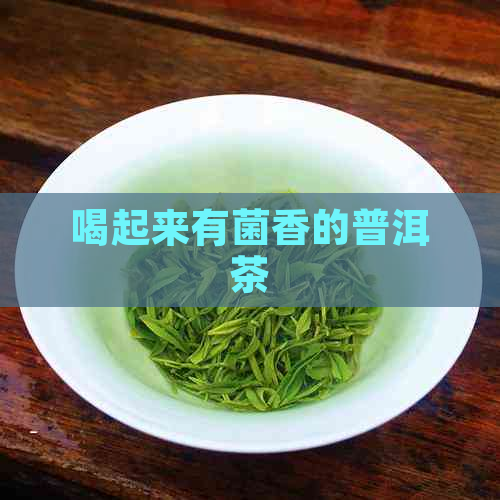 喝起来有菌香的普洱茶