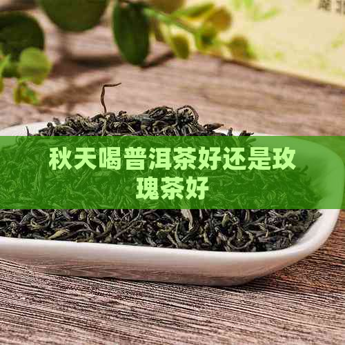 秋天喝普洱茶好还是玫瑰茶好