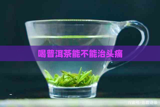 喝普洱茶能不能治头痛