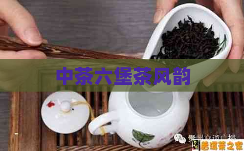 中茶六堡茶风韵