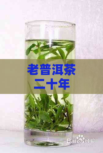 老普洱茶二十年