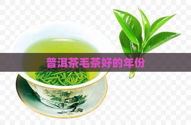 普洱茶毛茶好的年份