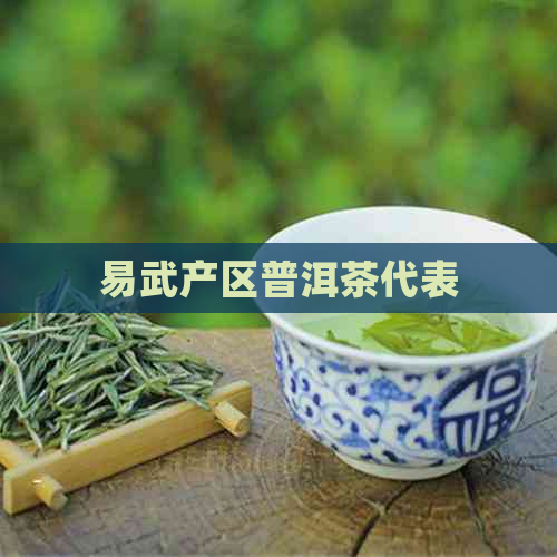 易武产区普洱茶代表