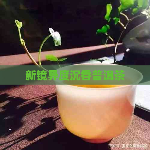 新镜异度沉香普洱茶