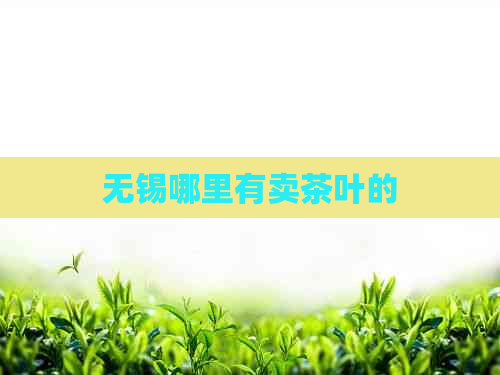 无锡哪里有卖茶叶的