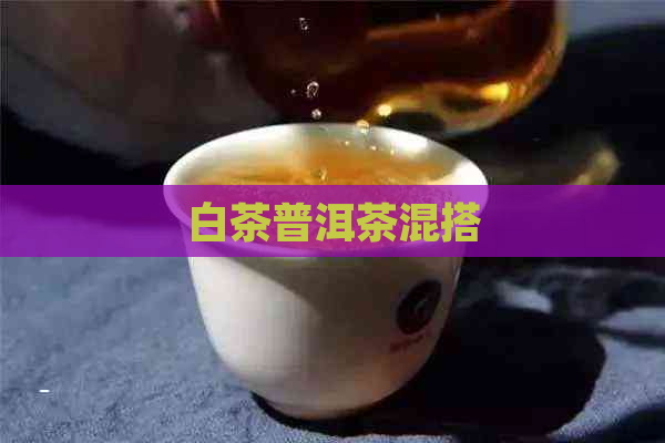 白茶普洱茶混搭