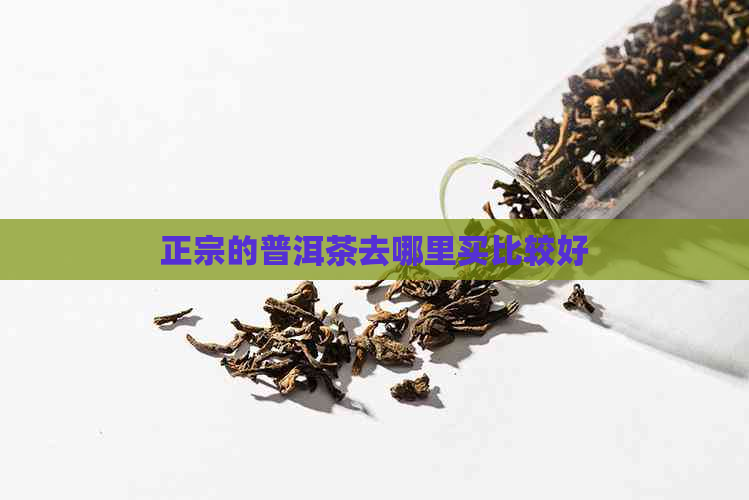 正宗的普洱茶去哪里买比较好