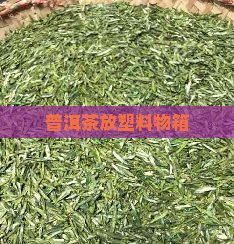 普洱茶放塑料物箱