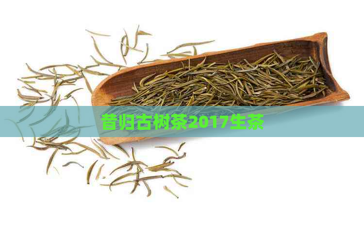 昔归古树茶2017生茶