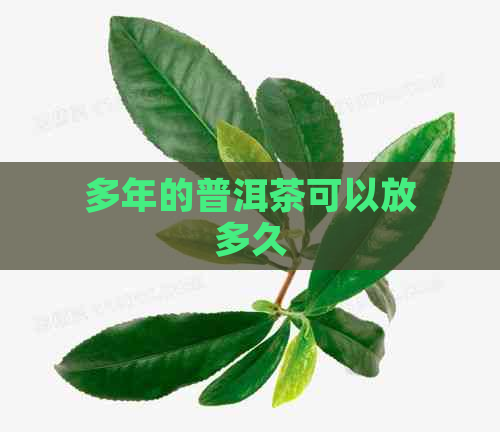 多年的普洱茶可以放多久