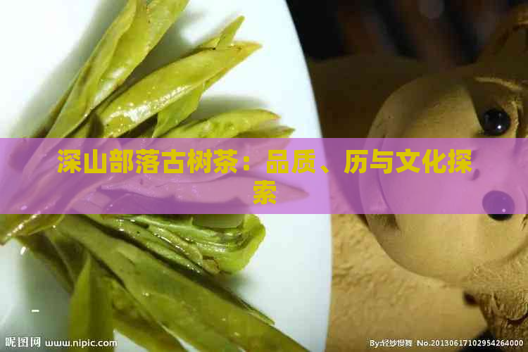 深山部落古树茶：品质、历与文化探索