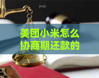 美团小米怎么协商期还款的步骤是什么