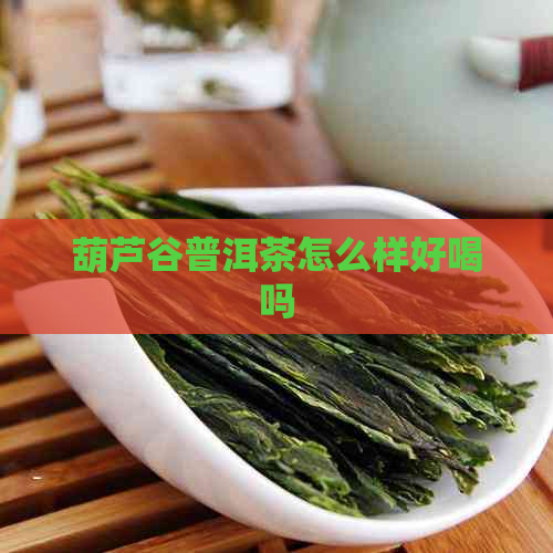 葫芦谷普洱茶怎么样好喝吗