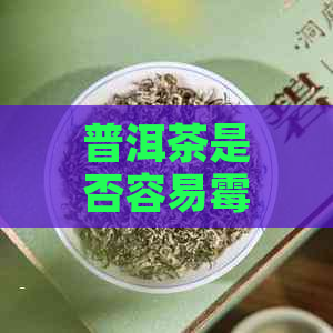 普洱茶是否容易霉