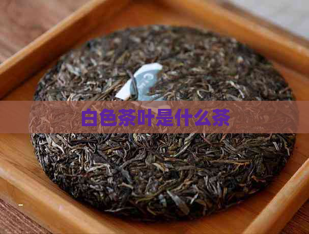 白色茶叶是什么茶