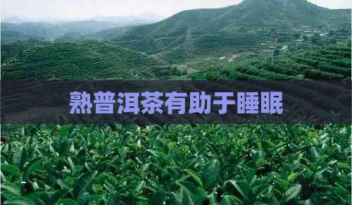 熟普洱茶有助于睡眠