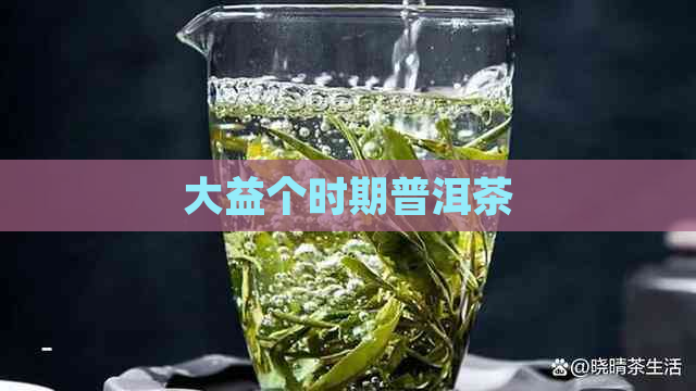 大益个时期普洱茶