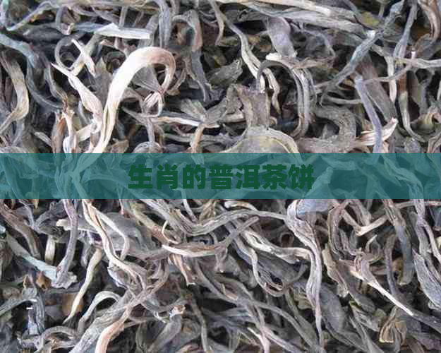 生肖的普洱茶饼