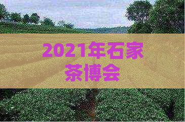 2021年石家茶博会