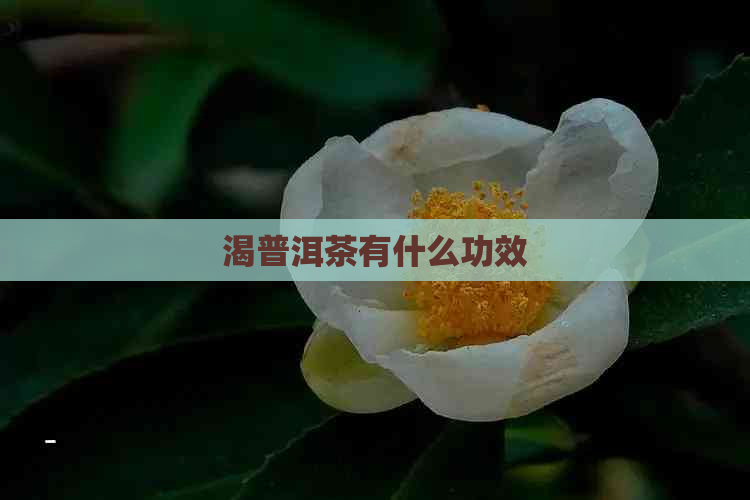 渴普洱茶有什么功效