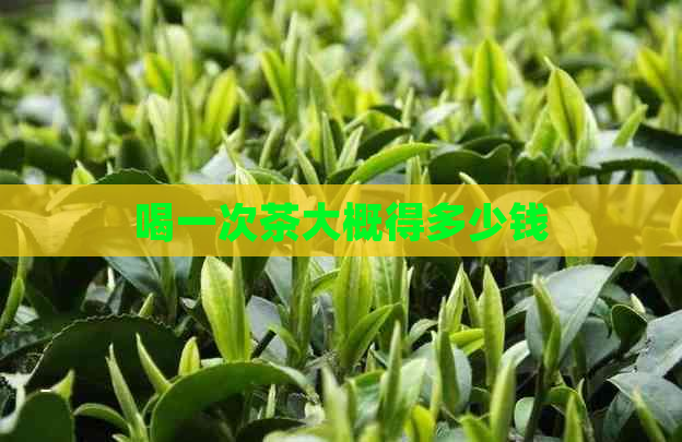 喝一次茶大概得多少钱