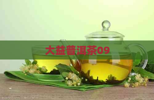 大益普洱茶09