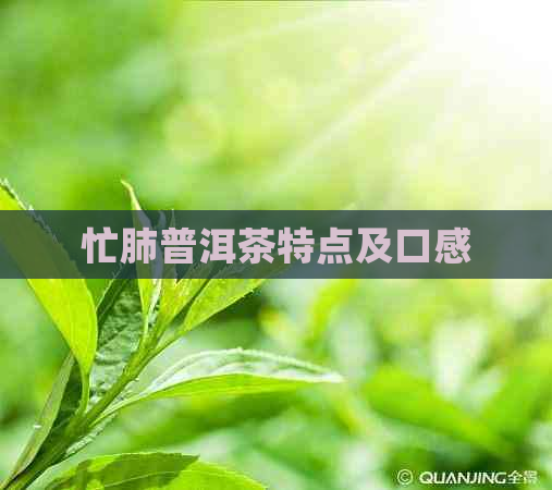 忙肺普洱茶特点及口感