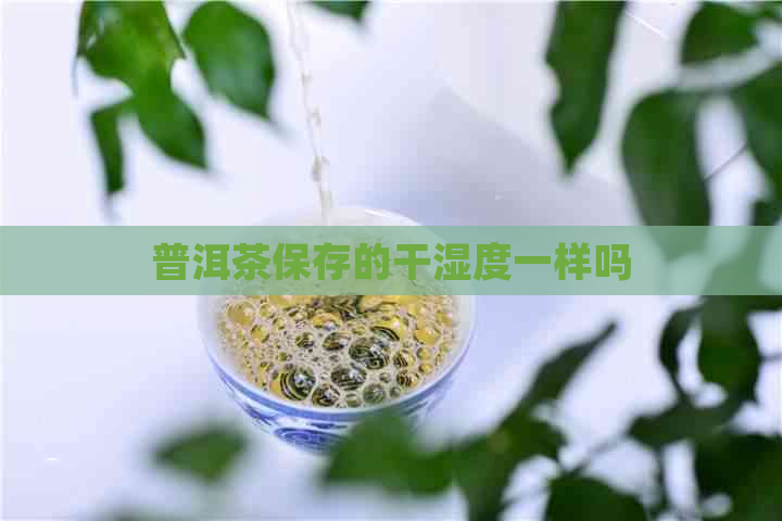 普洱茶保存的干湿度一样吗