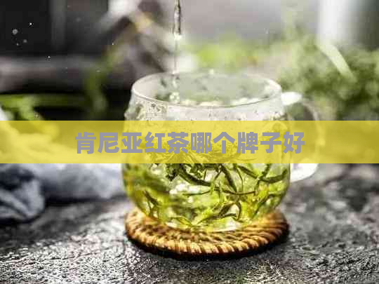 肯尼亚红茶哪个牌子好