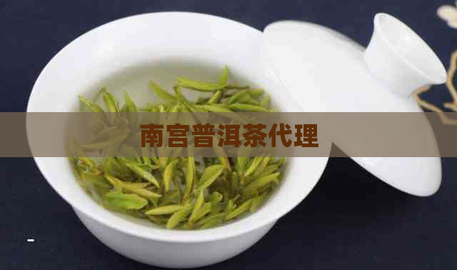 南宫普洱茶代理