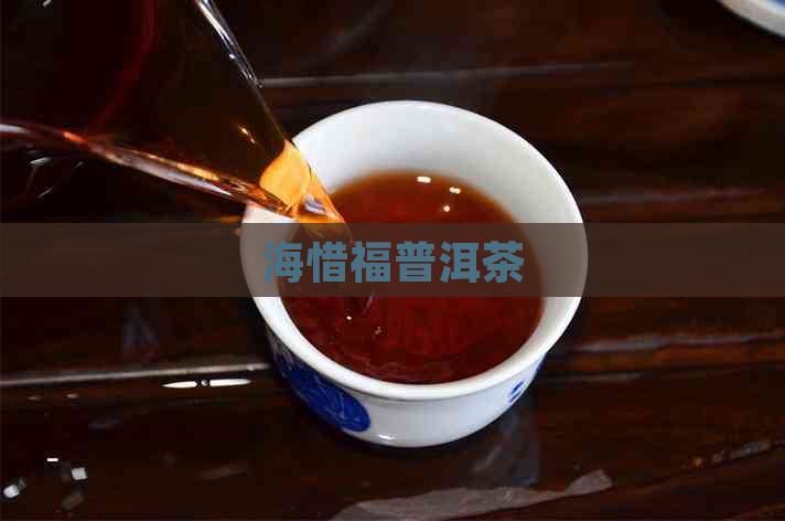 海惜福普洱茶