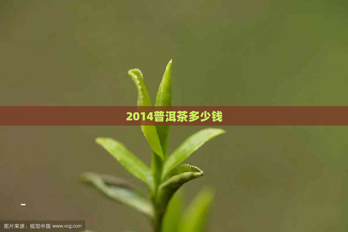 2014普洱茶多少钱