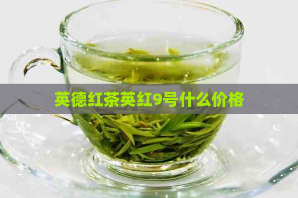 英德红茶英红9号什么价格