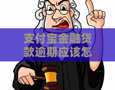 支付宝金融贷款逾期应该怎么处理