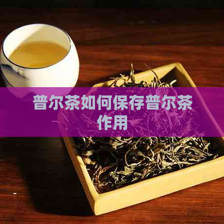 普尔茶如何保存普尔茶作用