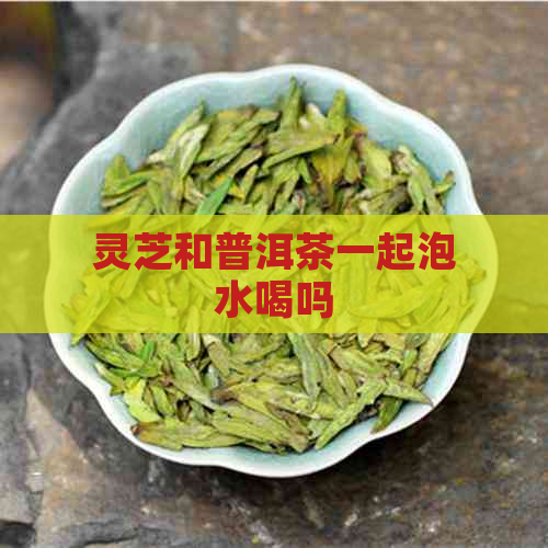 灵芝和普洱茶一起泡水喝吗