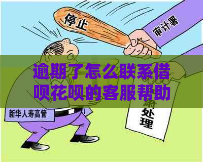 逾期了怎么联系借呗花呗的客服帮助