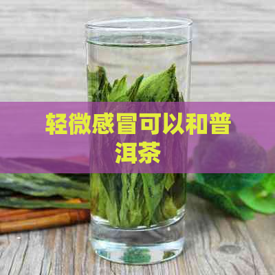 轻微感冒可以和普洱茶