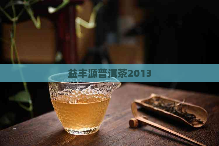 益丰源普洱茶2013