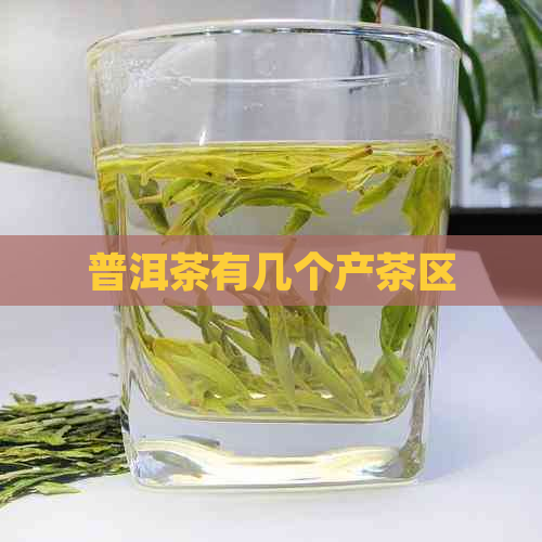 普洱茶有几个产茶区