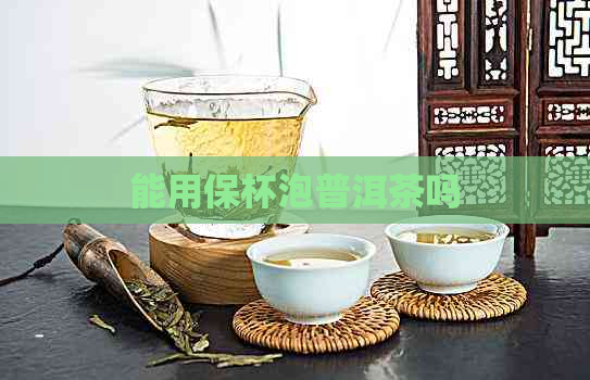 能用保杯泡普洱茶吗