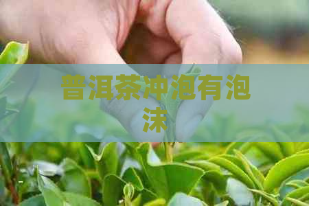 普洱茶冲泡有泡沫