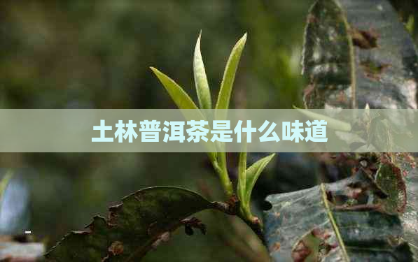 土林普洱茶是什么味道